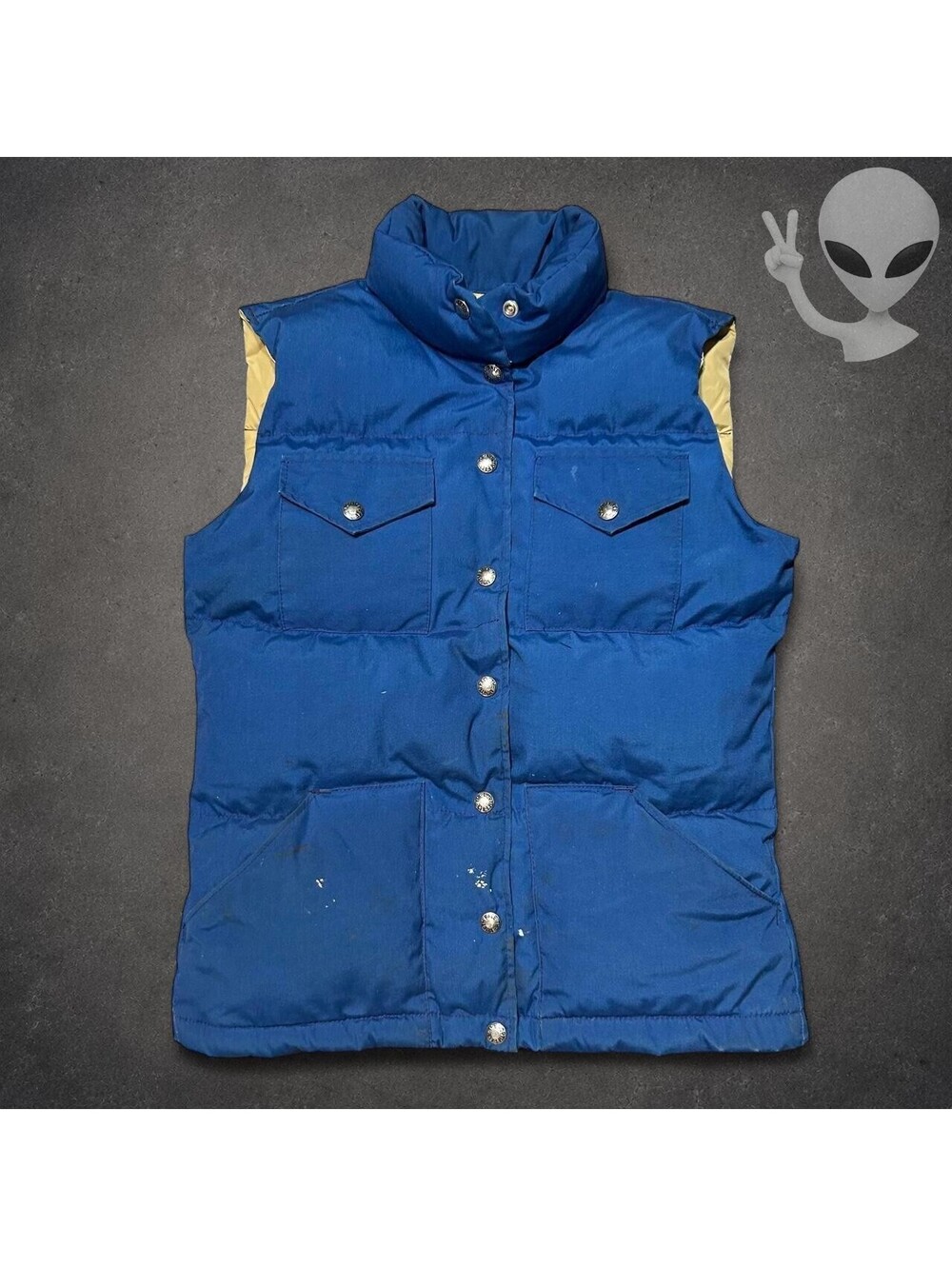 Vintage The North Face Brown Label Down Puffer Vest Women's US Size S Blue - Picture 2 of 8
